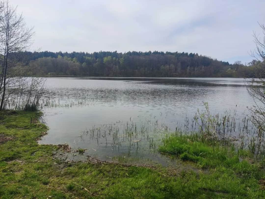 Dzierżawa działki nad jeziorem pomorskie - uniknij kosztownych błędów