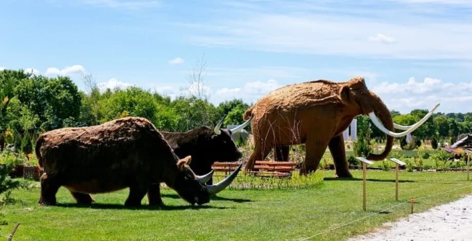 Deli Park atrakcje: odkryj niesamowite miejsca dla całej rodziny